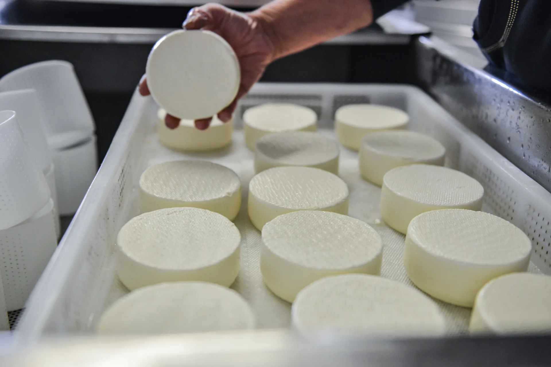 Herstellung von Frischkäse