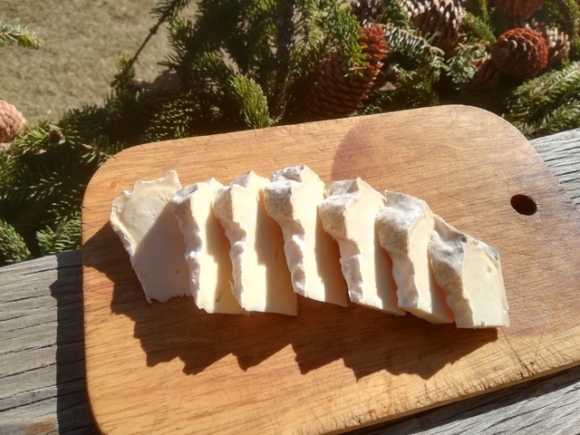 Formaggio del maso fatto in casa su un tagliere di legno
